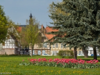 Welterbestadt Quedlinburg Fachwerkfassen im Stadtkern