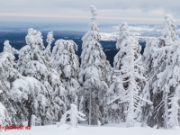 Nationalpark Harz Blick vom Brockenplateau