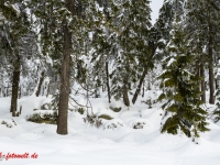 Nationalpark Harz Blick vom Brockenplateau