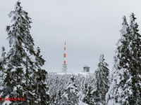 Nationalpark Harz Blick vom Brockenplateau